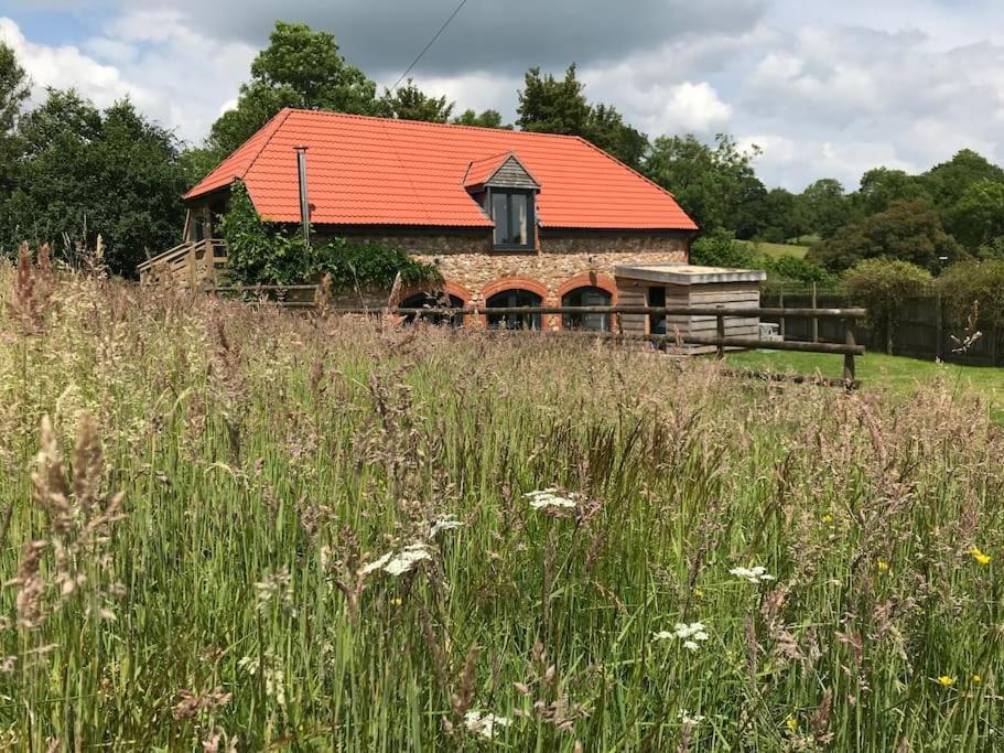 Burleyhayes Barn - Secluded Devon Hideaway. Villa Hemyock Dış mekan fotoğraf