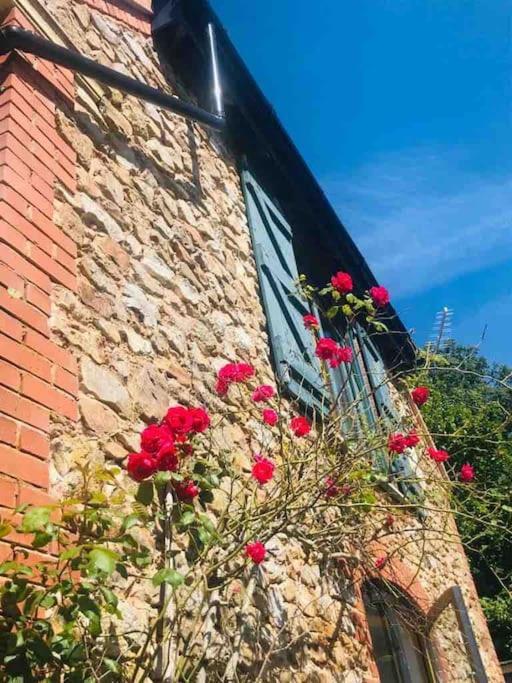 Burleyhayes Barn - Secluded Devon Hideaway. Villa Hemyock Dış mekan fotoğraf