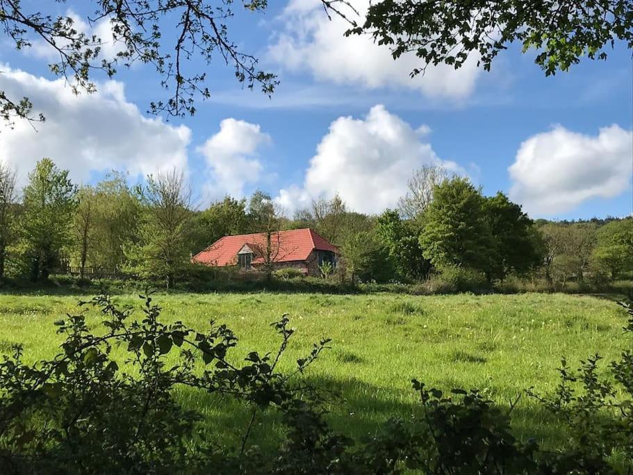 Burleyhayes Barn - Secluded Devon Hideaway. Villa Hemyock Dış mekan fotoğraf